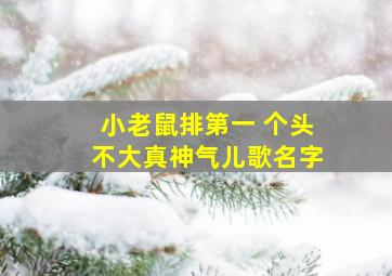 小老鼠排第一 个头不大真神气儿歌名字